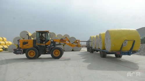 新疆伽師棉花企業(yè)開足馬力忙生產(chǎn)
