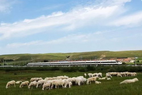 張瀟冉思念的家鄉(xiāng),到底是個怎樣的地方