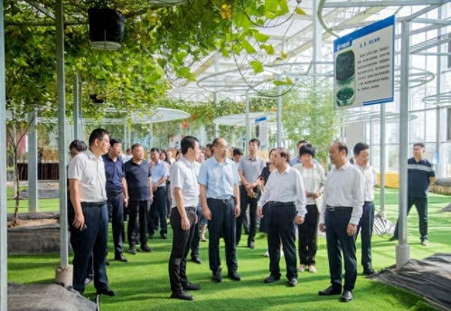 科普之花處處開(kāi) 豐碩成果全民享 臨沂市開(kāi)展2023年全國(guó)科普活動(dòng)