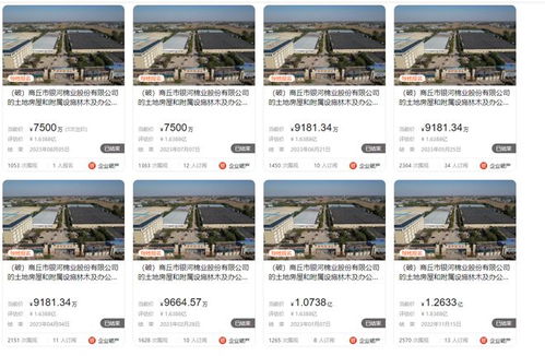 商丘市銀河棉業(yè)破產(chǎn),大型廠房第八次拍賣(mài),7500萬(wàn)就成交了