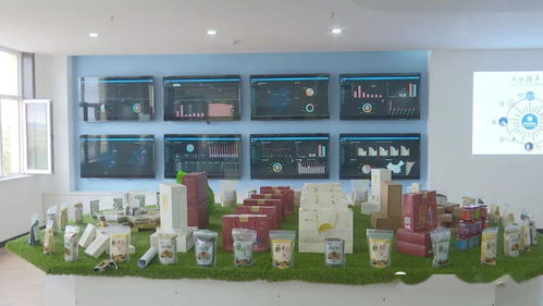 錫林郭勒盟千里草原風(fēng)景大道阿巴嘎驛站暨電子商務(wù)公共服務(wù)中心啟用 融合旅游與電商新篇章