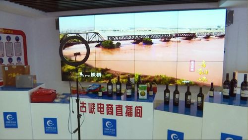 京東集團(tuán)西北區(qū)總部考察青銅峽市電子商務(wù)服務(wù)，共謀區(qū)域數(shù)字經(jīng)濟(jì)發(fā)展新篇章